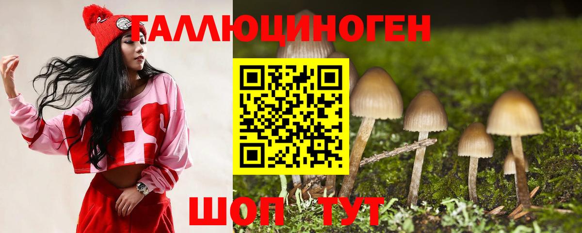 Коряжма  Галлюциногенные грибы ЛСД  где найти   Вход с VPN 